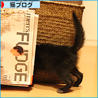 少しずつ成長しよう_a0389088_17534861.jpg