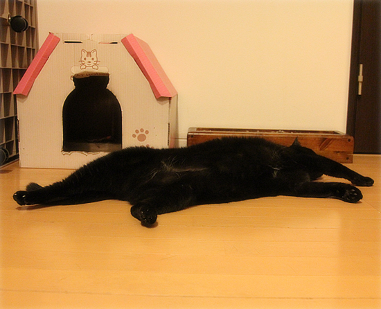 少しずつ成長しよう_a0389088_17534896.jpg