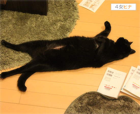 まさかの発言!?_a0389088_17535220.jpg