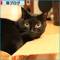まさかの発言!?_a0389088_17535222.jpg