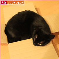 まさかの発言!?_a0389088_17535276.jpg
