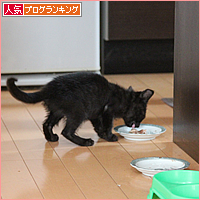 黒猫のあくび_a0389088_17540080.jpg