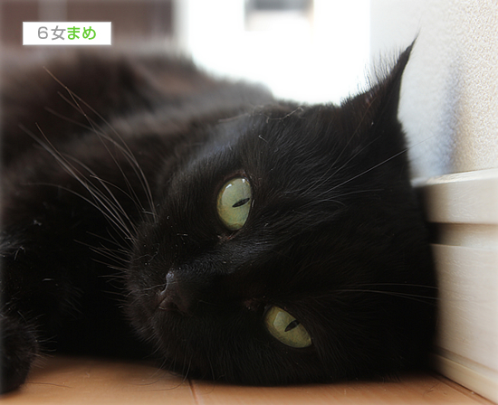 印象度NO1_a0389088_17540118.jpg