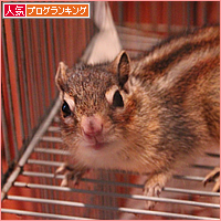 子猫冒険記_a0389088_17540149.jpg