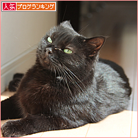 印象度NO1_a0389088_17540203.jpg