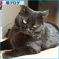 印象度NO1_a0389088_17540236.jpg