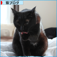 破壊王_a0389088_17541461.jpg