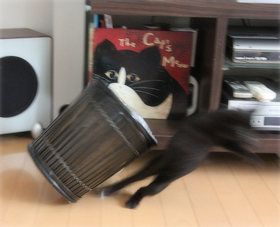 やらかしちゃいました_a0389088_17541508.jpg