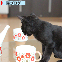 やらかしちゃいました_a0389088_17541524.jpg