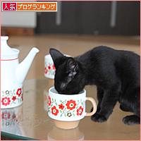 やらかしちゃいました_a0389088_17541576.jpg