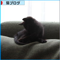 ３連休なのに_a0389088_17541712.jpg