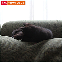 ３連休なのに_a0389088_17541731.jpg