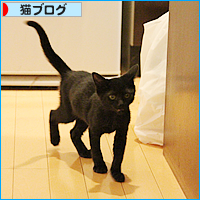 一番強いのは・・・_a0389088_17541833.jpg