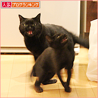 一番強いのは・・・_a0389088_17541898.jpg