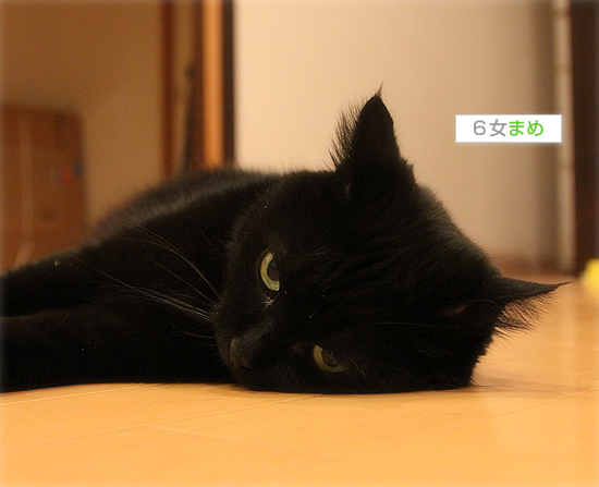 なにがあったのか_a0389088_17541949.jpg