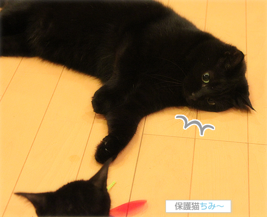 なにがあったのか_a0389088_17541958.jpg