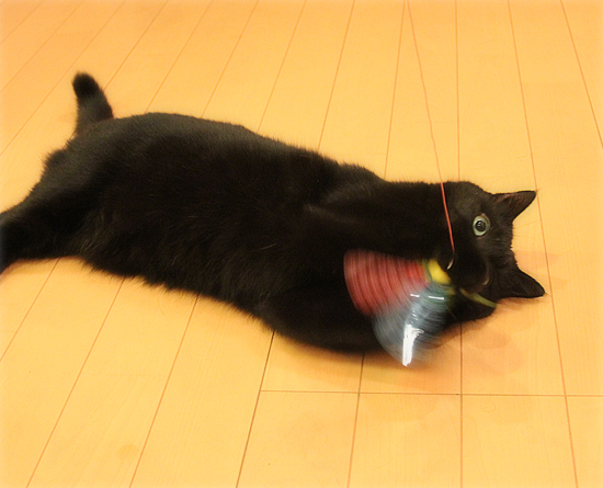 なにがあったのか_a0389088_17541980.jpg