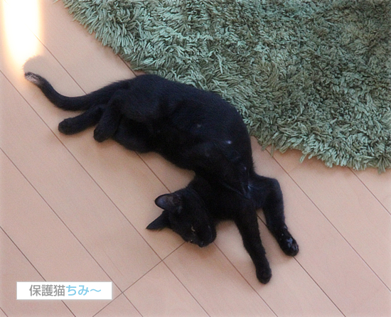 1か月_a0389088_17542077.jpg