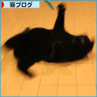 なにがあったのか_a0389088_17542079.jpg