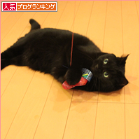 なにがあったのか_a0389088_17542083.jpg