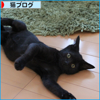 1か月_a0389088_17542166.jpg