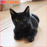 猫のいる家庭にはつきものなこと_a0389088_17542355.jpg