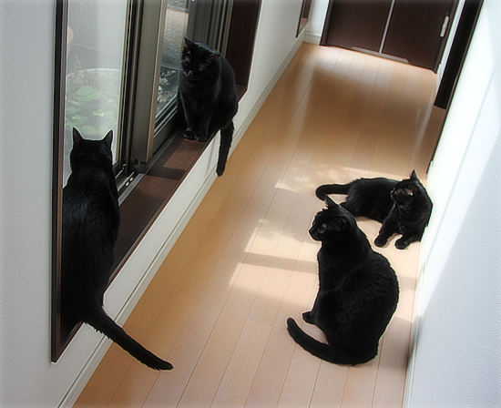 いつの日か・・・_a0389088_17542502.jpg