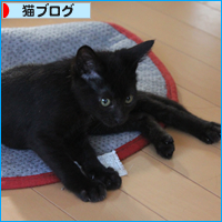 いつの日か・・・_a0389088_17542529.jpg