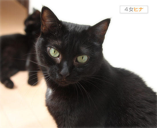 いつの日か・・・_a0389088_17542533.jpg