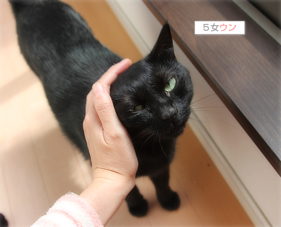 いつの日か・・・_a0389088_17542571.jpg