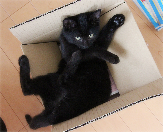 サイン会?_a0389088_17542933.jpg