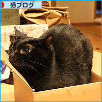 母猫の愛_a0389088_17543026.jpg