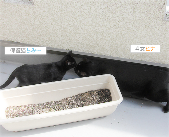 デビューしました!_a0389088_17543384.jpg