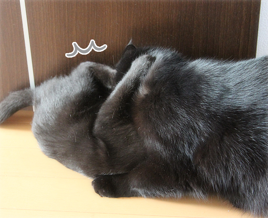 母らしく子らしく_a0389088_17543404.jpg