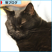 デビューしました!_a0389088_17543431.jpg