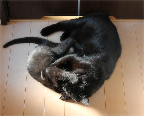 母らしく子らしく_a0389088_17543476.jpg
