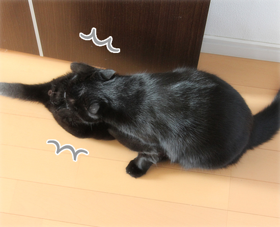 母らしく子らしく_a0389088_17543489.jpg