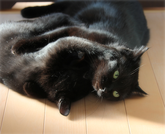 母らしく子らしく_a0389088_17543508.jpg