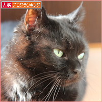 母らしく子らしく_a0389088_17543531.jpg