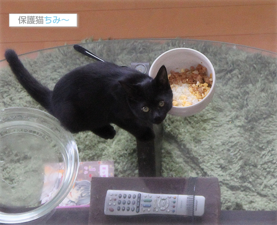 私のミス_a0389088_17543546.jpg