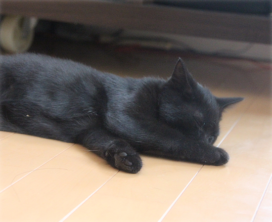 私のミス_a0389088_17543647.jpg