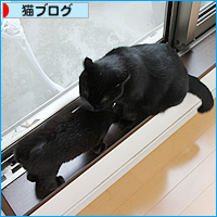 私のミス_a0389088_17543654.jpg
