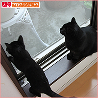私のミス_a0389088_17543659.jpg