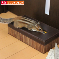 冬支度?_a0389088_17543715.jpg