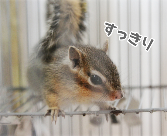 冬支度?_a0389088_17543750.jpg