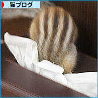冬支度?_a0389088_17543859.jpg