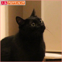 黒猫牧場の名のとおり・・・_a0389088_17550939.jpg