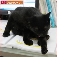 猫のいる仕事場_a0389088_17551201.jpg