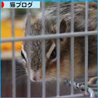 ご報告_a0389088_17551501.jpg