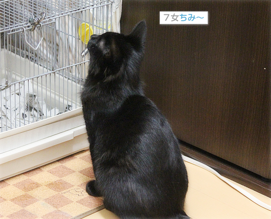 おひっこし_a0389088_17552319.jpg